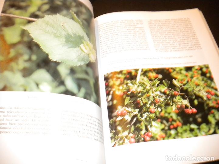 Libros de segunda mano: libro de la gastronomia de castilla y leon / - Foto 6