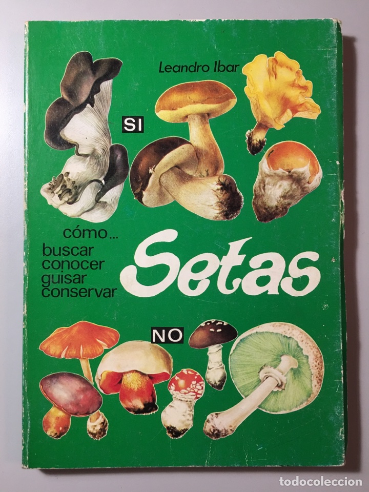 Libros de segunda mano: SETAS. LEANDRO IBAR- PRIMERA EDICI&Oacute;N 1980 - Foto 1