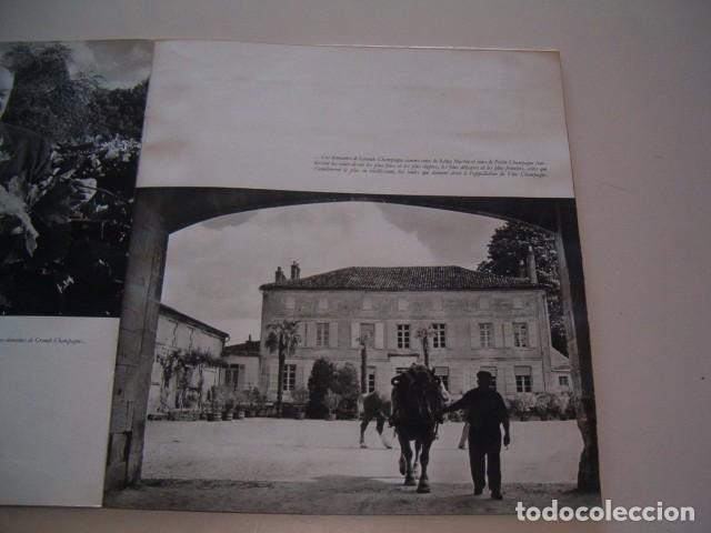 Libros de segunda mano: LOUISE DE VILMORIN. Cognac. RM79061. - Foto 2