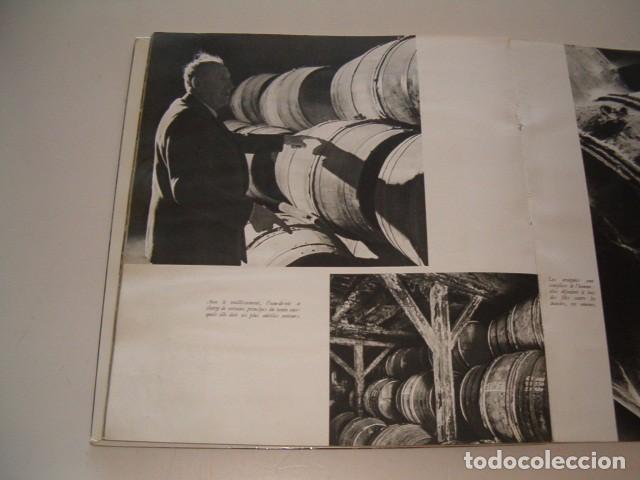 Libros de segunda mano: LOUISE DE VILMORIN. Cognac. RM79061. - Foto 3