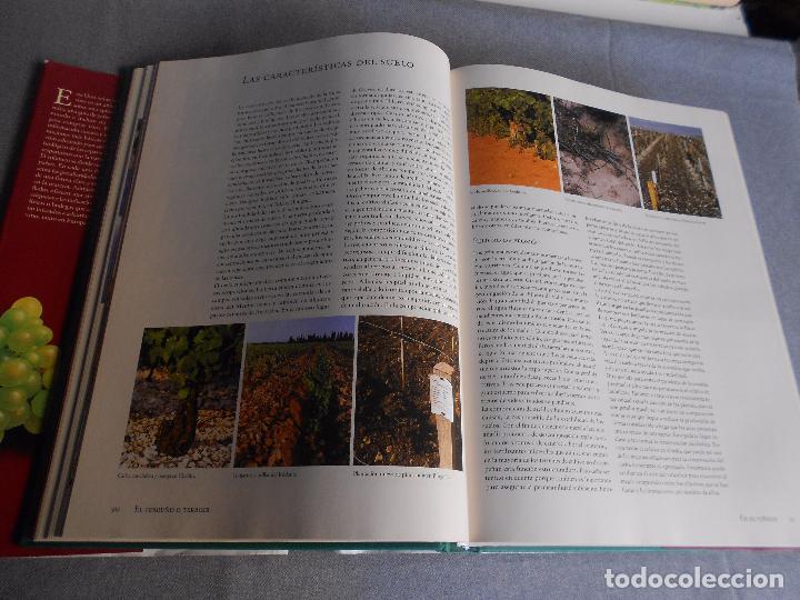 Libros de segunda mano: EL VINO - Foto 8