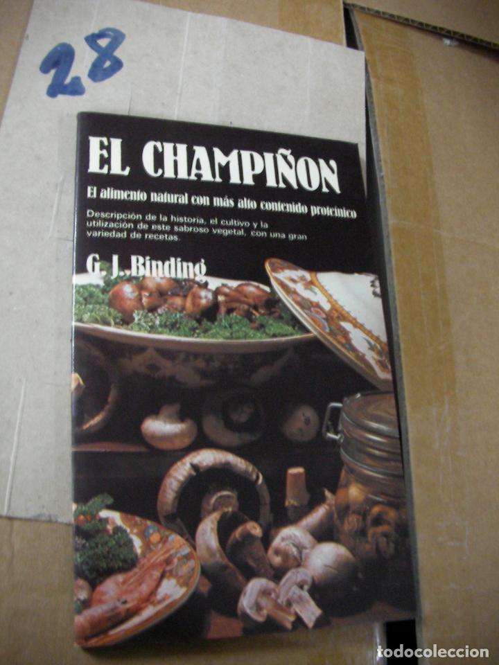 Libros de segunda mano: EL CHAMPI&Ntilde;ON - Foto 1