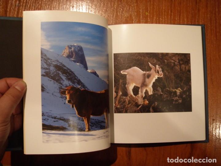 Libros de segunda mano: LIBRO QUESO DE CABRALES ED TRABE - Foto 2