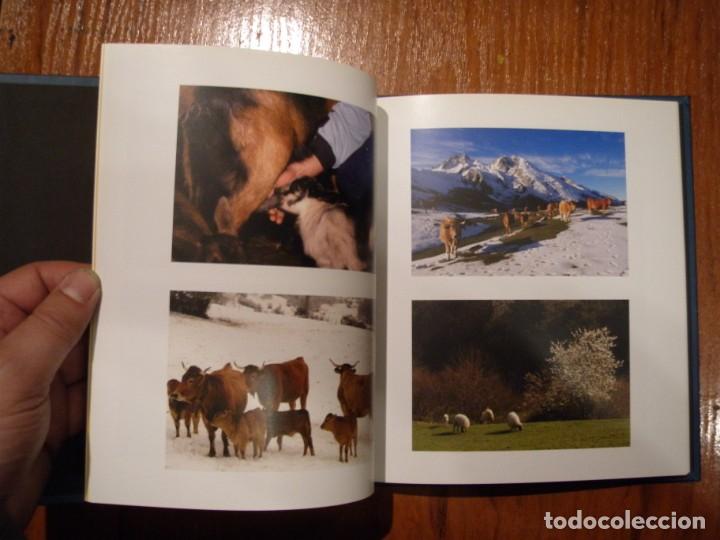 Libros de segunda mano: LIBRO QUESO DE CABRALES ED TRABE - Foto 3