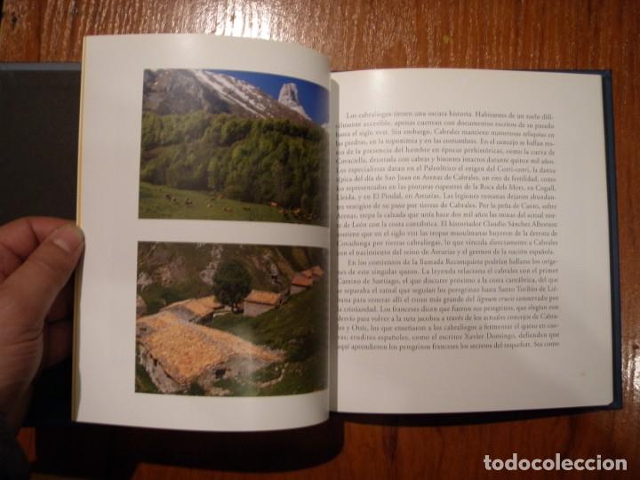 Libros de segunda mano: LIBRO QUESO DE CABRALES ED TRABE - Foto 4