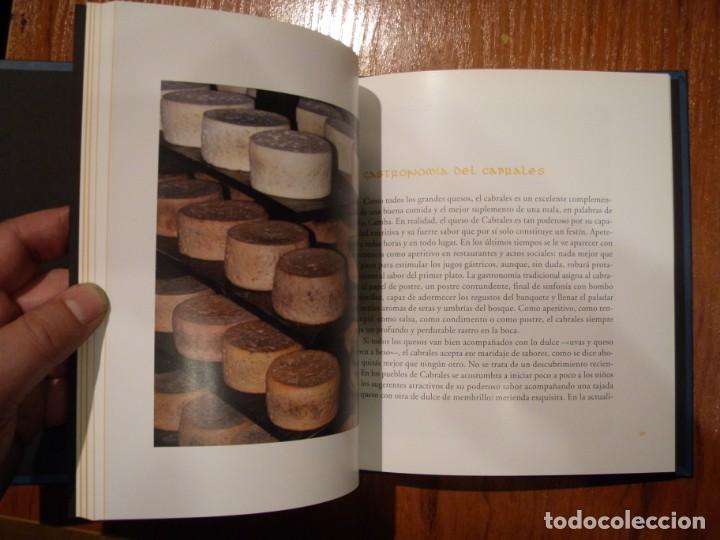 Libros de segunda mano: LIBRO QUESO DE CABRALES ED TRABE - Foto 6