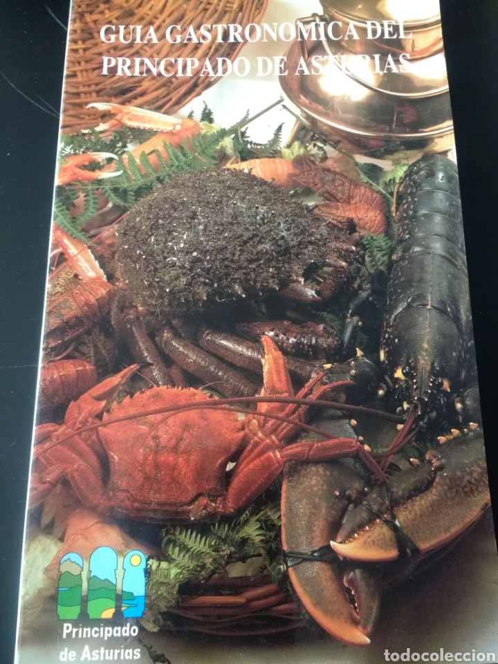 Libros de segunda mano: GU&Iacute;A GASTRON&Oacute;MICA DE ASTURIAS. PRINCIPADO DE ASTURIAS. DIRECCI&Oacute;N GENERAL DE TURISMO. A&Ntilde;O 1985. R&Uacute;STI