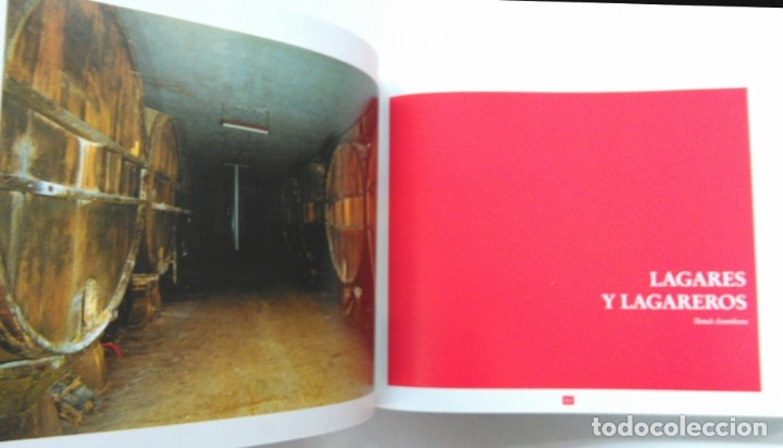 Libros de segunda mano: EL LIBRO DE LA SIDRA - Foto 2