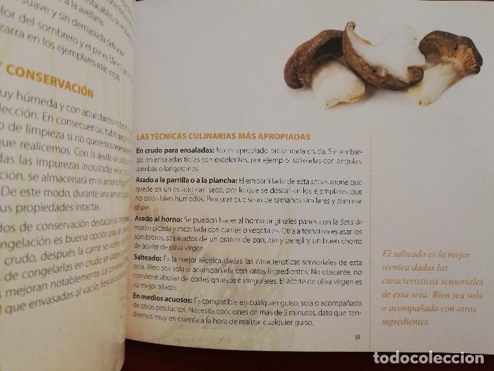 Libros de segunda mano: COCINANDO CON SETAS DE PRIMAVERA (VV. AA.) - Foto 7