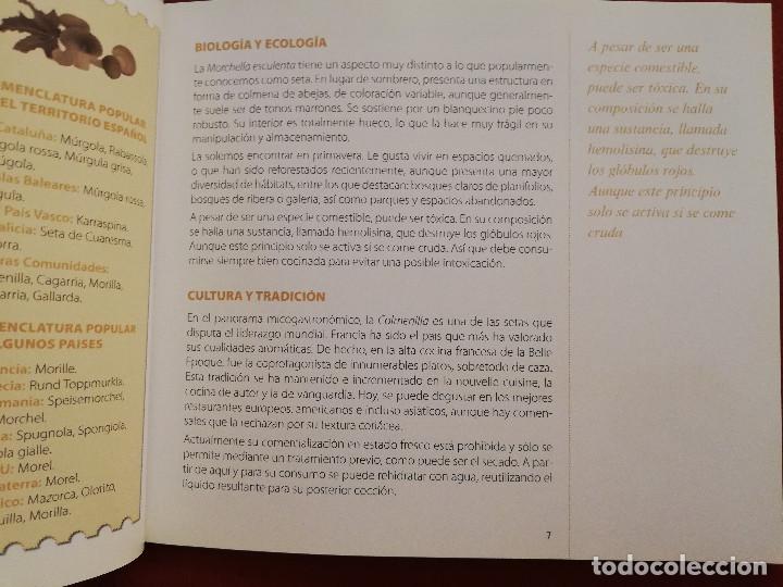 Libros de segunda mano: COCINANDO CON SETAS DE PRIMAVERA (VV. AA.) - Foto 10