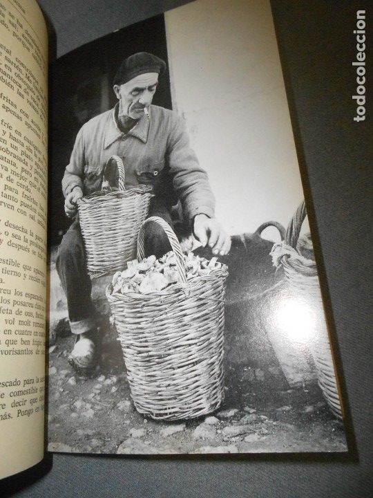 Libros de segunda mano: DE RE CIBARIA - Foto 4