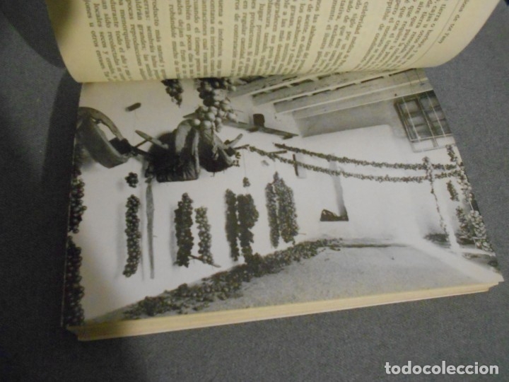 Libros de segunda mano: DE RE CIBARIA - Foto 5