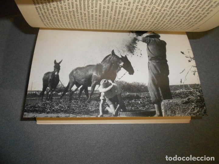 Libros de segunda mano: DE RE CIBARIA - Foto 6