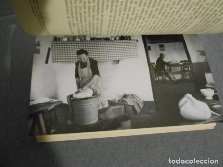 Libros de segunda mano: DE RE CIBARIA - Foto 7