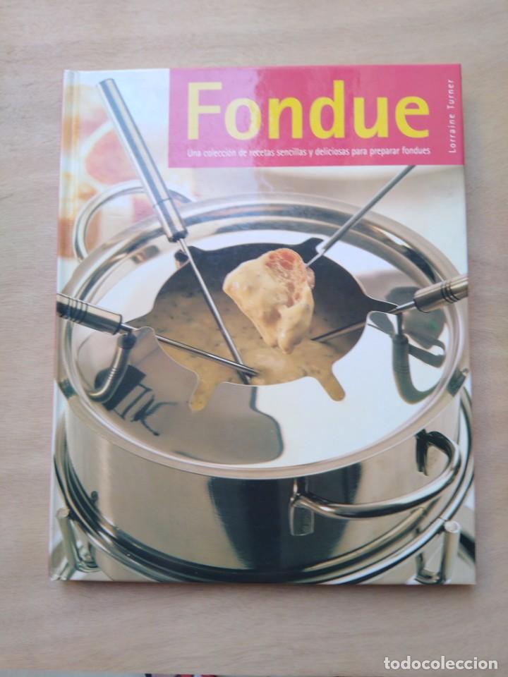 Libros de segunda mano: Fondue - Lorraine Turner - Foto 1