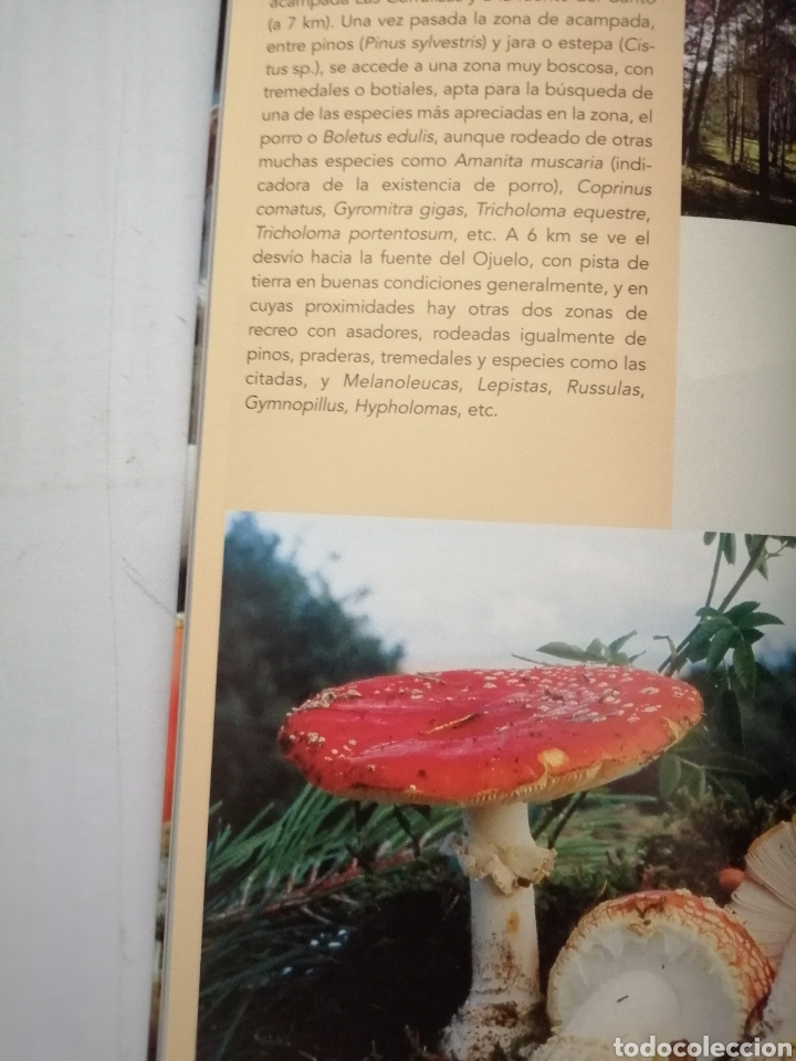 Libros de segunda mano: Las Setas en Arag&oacute;n - Foto 3