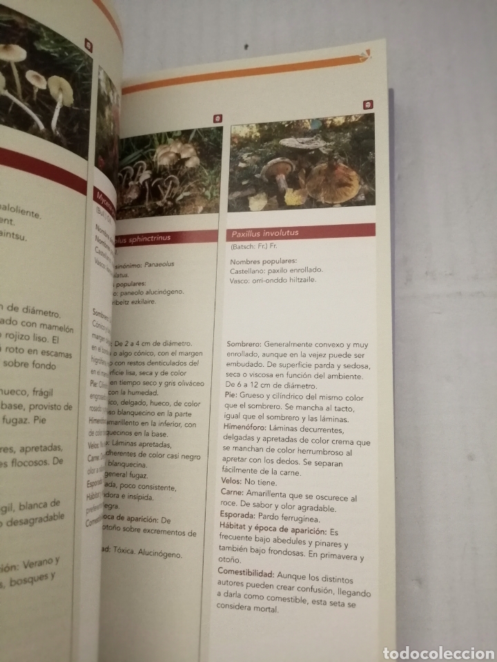 Libros de segunda mano: Las Setas en Arag&oacute;n - Foto 5