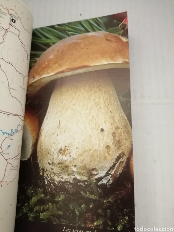 Libros de segunda mano: Las Setas en Arag&oacute;n - Foto 6