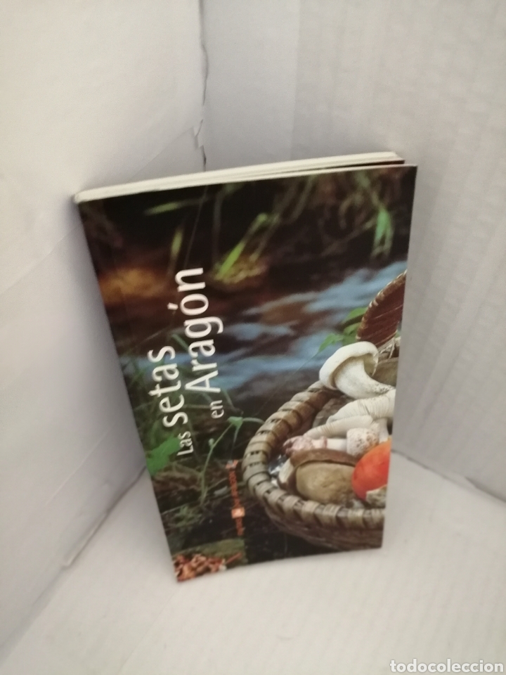 Libros de segunda mano: Las Setas en Arag&oacute;n - Foto 7