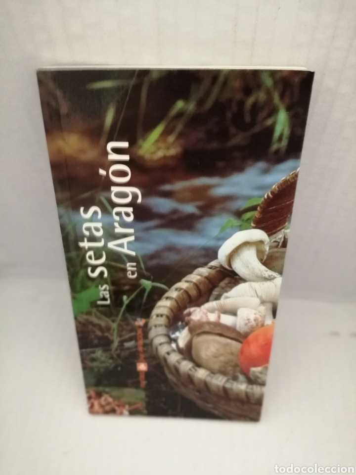 Libros de segunda mano: Las Setas en Arag&oacute;n - Foto 1