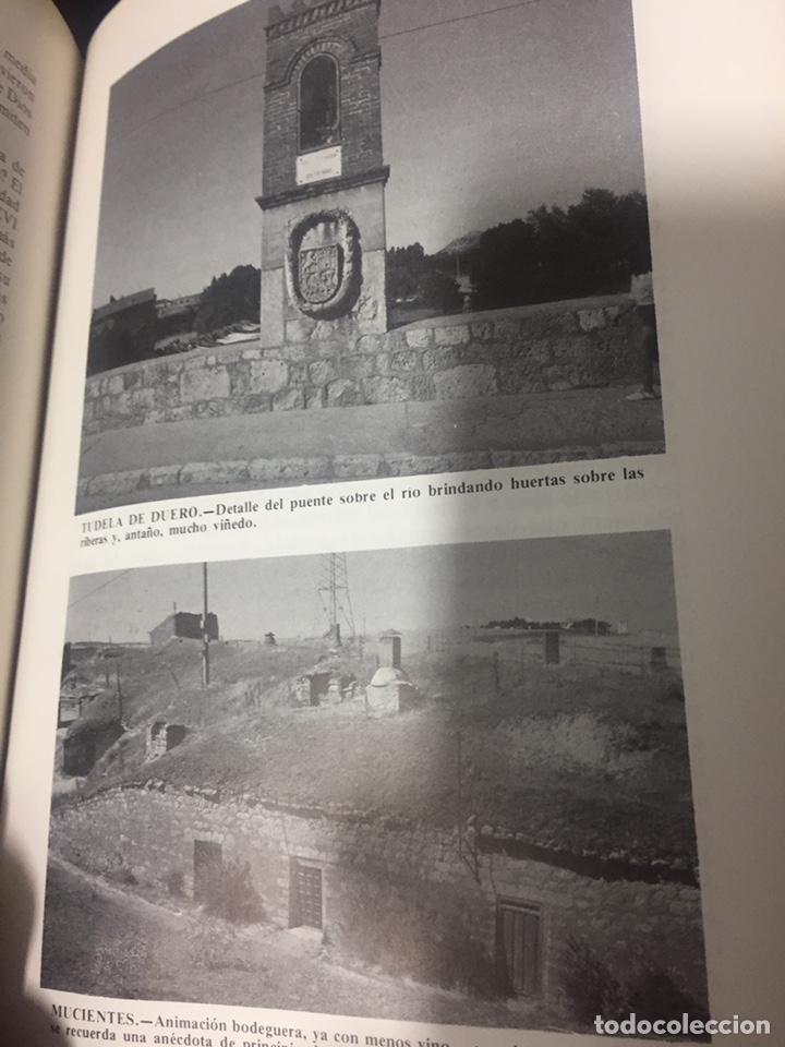 Libros de segunda mano: Vinos de Valladolid - Foto 2