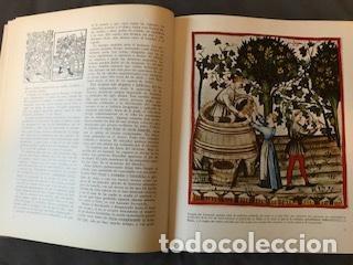 Libros de segunda mano: EL GRAN LIBRO DEL VINO - Foto 2