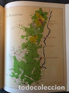 Libros de segunda mano: EL GRAN LIBRO DEL VINO - Foto 3