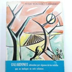 Libros de segunda mano: UN CAMINO HACIA LA ESPERANZA - JUAN IGNACIO CARNERO - GRÁFICAS EUROPA - SALAMANCA 1970. Lote 241893000