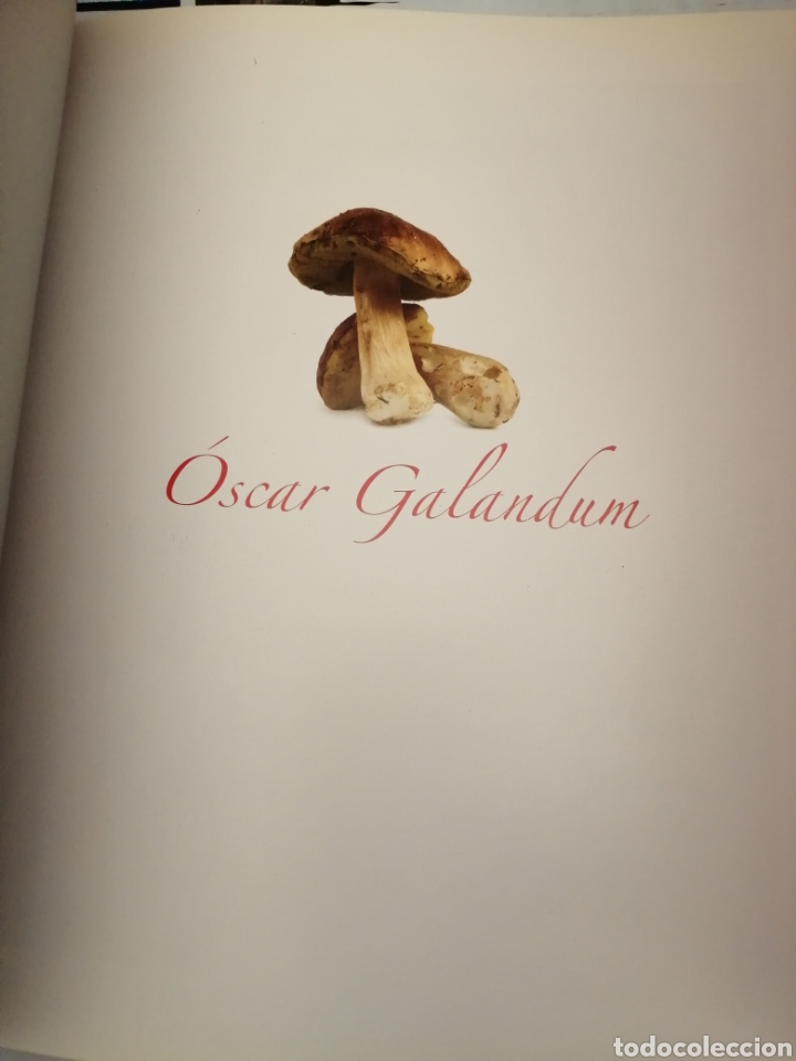 Libros de segunda mano: LA CHISPA DE LOS SUE&Ntilde;OS (Coca Cola) - Foto 10