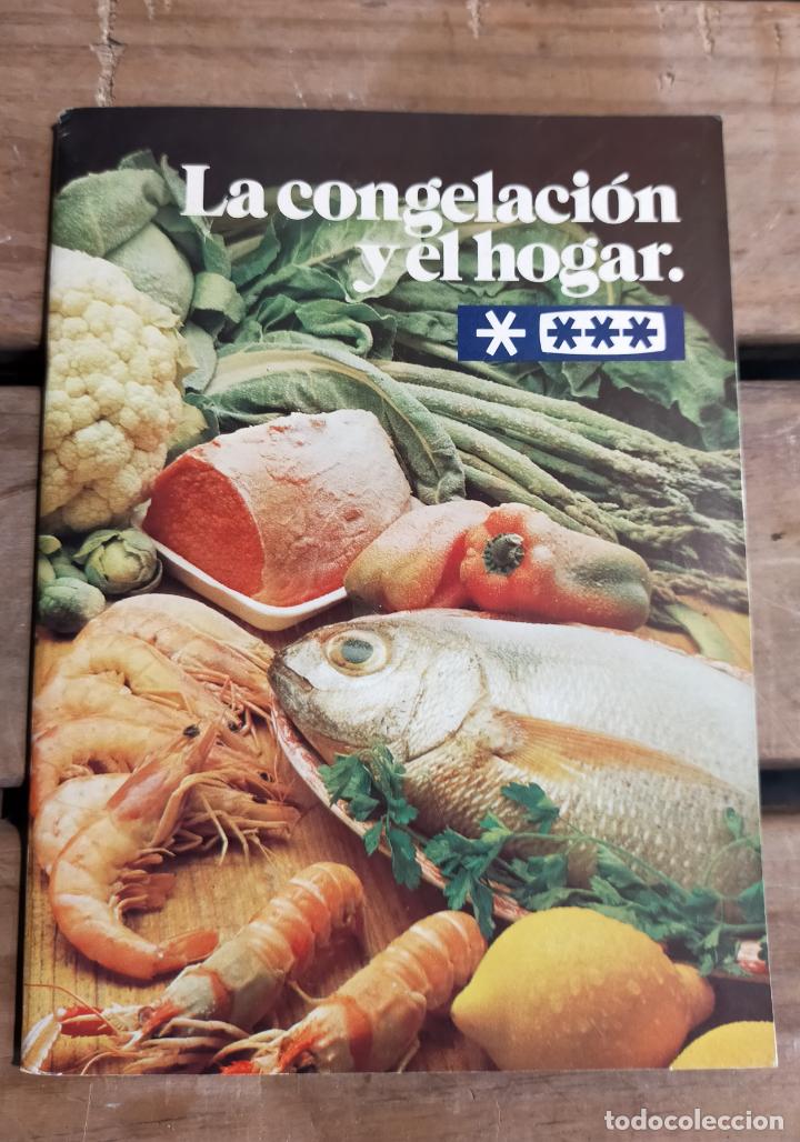 Libros de segunda mano: LIBRETO - LA CONGELACION EN EL HOGAR