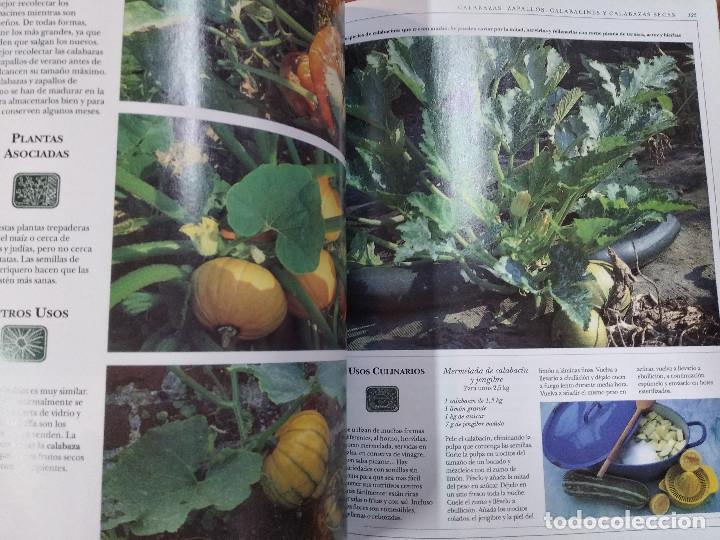 Libros de segunda mano: el gran libro de las frutas - integral - HR1 - Foto 2