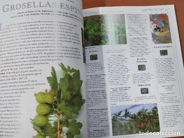 Libros de segunda mano: el gran libro de las frutas - integral - HR1 - Foto 3
