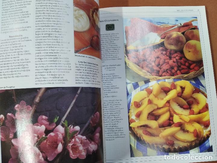 Libros de segunda mano: el gran libro de las frutas - integral - HR1 - Foto 4