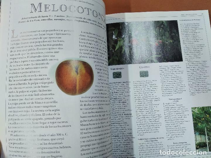 Libros de segunda mano: el gran libro de las frutas - integral - HR1 - Foto 5