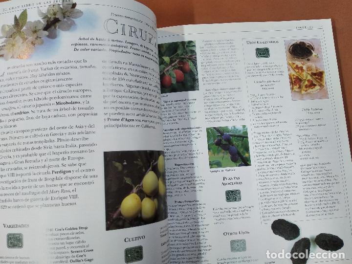 Libros de segunda mano: el gran libro de las frutas - integral - HR1 - Foto 6