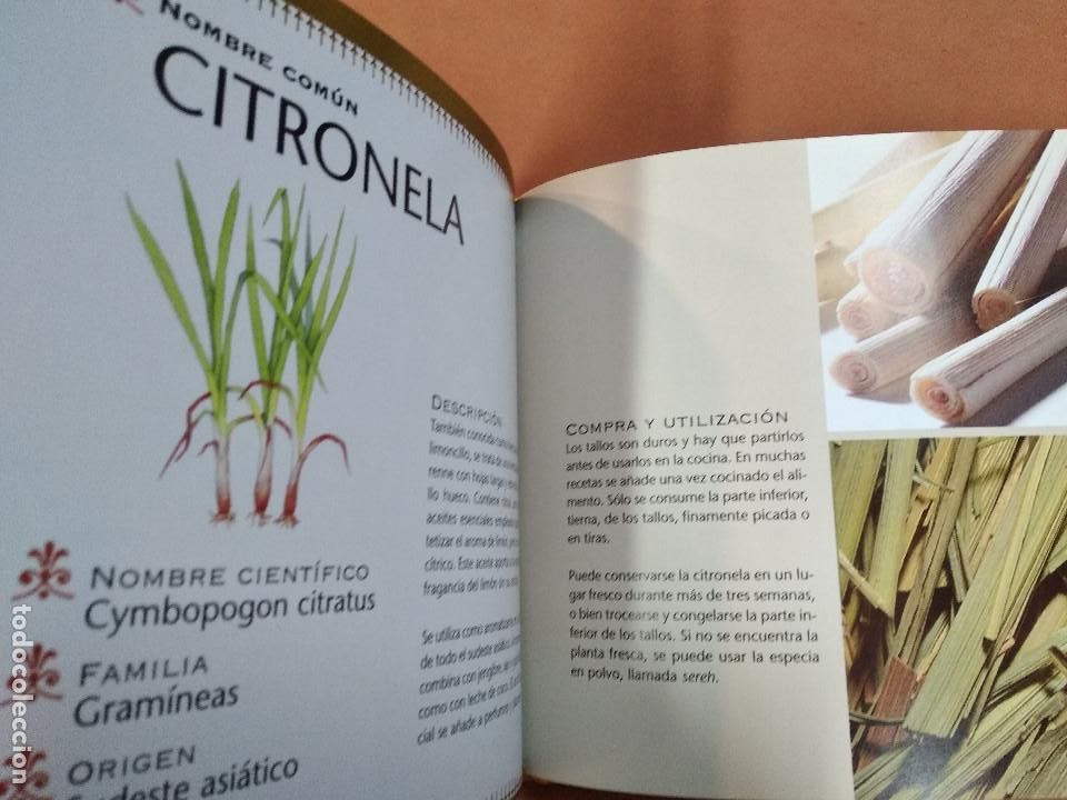 Libros de segunda mano: Especias - tikal ediciones - CU1 - Foto 4