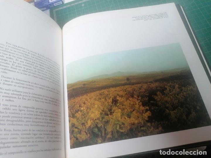 Libros de segunda mano: Los vinos de Espa&ntilde;a. - Foto 3