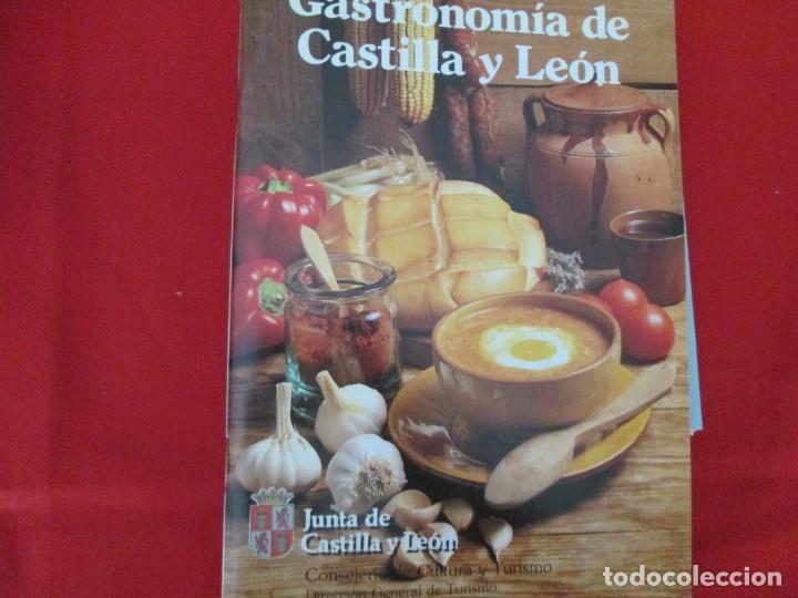 Libros de segunda mano: GASTRONOMIA DE CASTILLA Y LEON - Foto 1