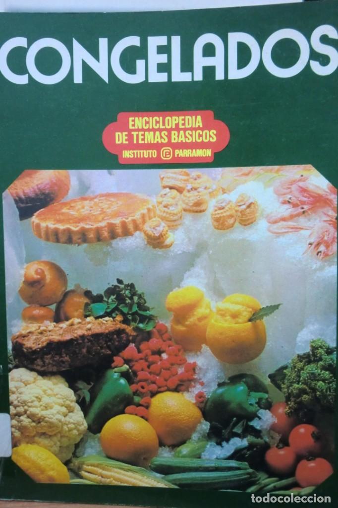 Libros de segunda mano: CONGELADOS. PAMELA DOTTER - Foto 1