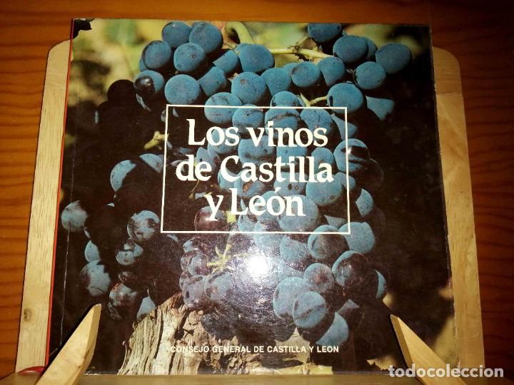Libros de segunda mano: Los vinos de Castilla y Le&oacute;n - Foto 1