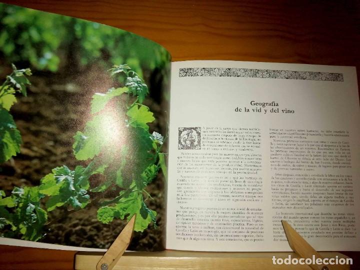 Libros de segunda mano: Los vinos de Castilla y Le&oacute;n - Foto 2