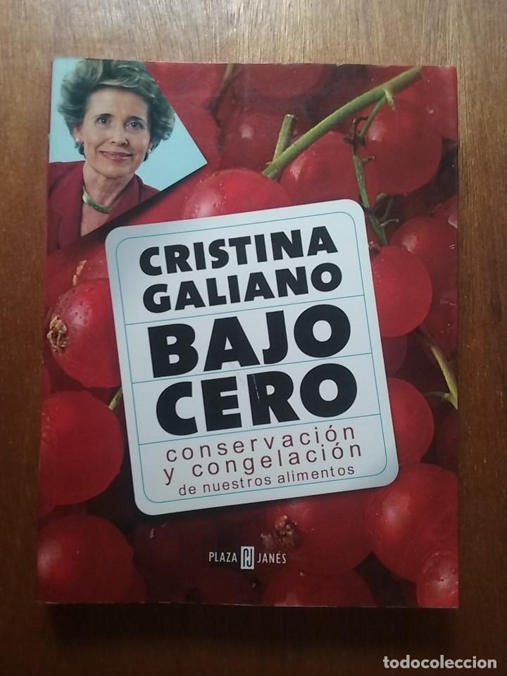 Libros de segunda mano: BAJO CERO, CONSERVACION Y CONGELACION DE NUESTROS ALIMENTOS, CRISTINA GALIANO, PLAZA & JANES, 2001