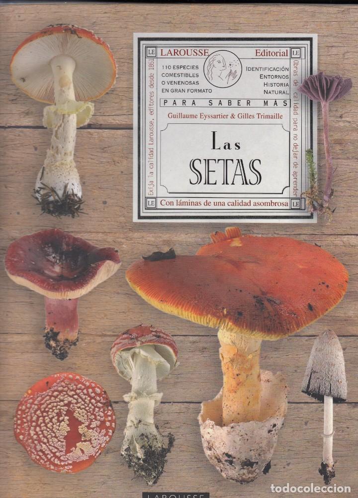 Libros de segunda mano: LAS SETAS. EYSSARTIER. LAROUSSE. ABO. - Foto 1
