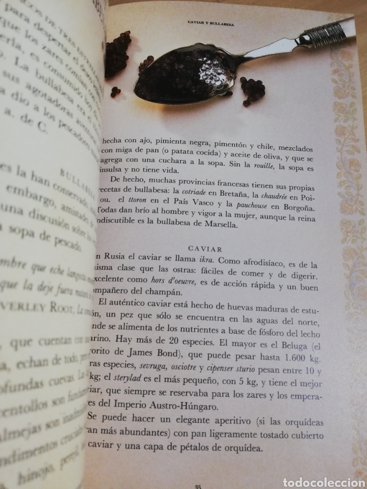 Libros de segunda mano: LAS RECETAS DEL AMOR (MAX DE ROCHE) - Foto 6