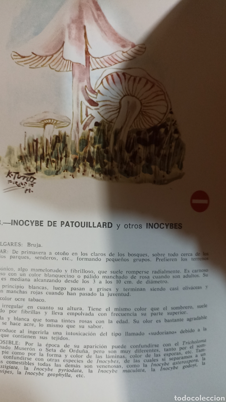 Libros de segunda mano: Las setas venenosas de Europa - Foto 2