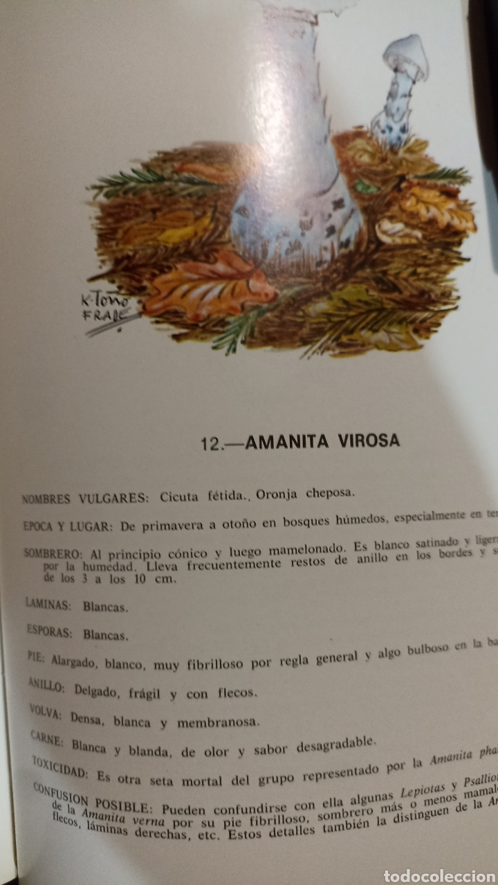 Libros de segunda mano: Las setas venenosas de Europa - Foto 3
