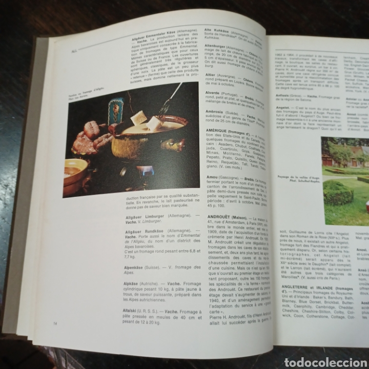 Libros de segunda mano: LAROUSSE DES FROMAGES - Foto 4