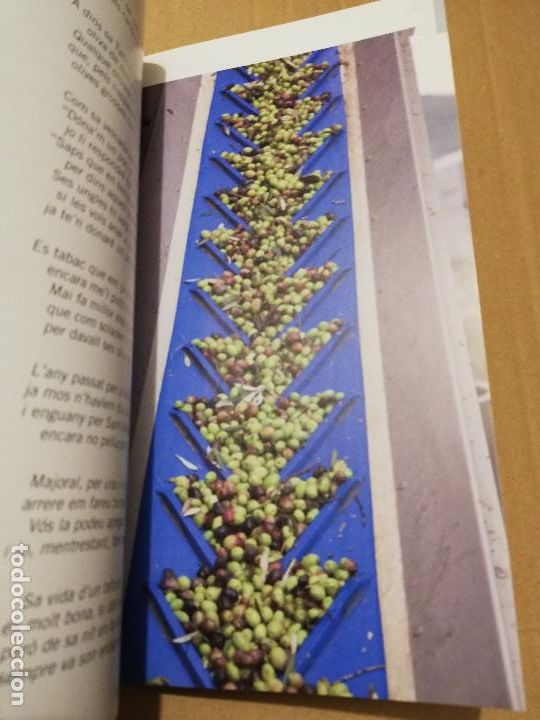 Libros de segunda mano: CUINAR AMB OLI I GERRET - Foto 6
