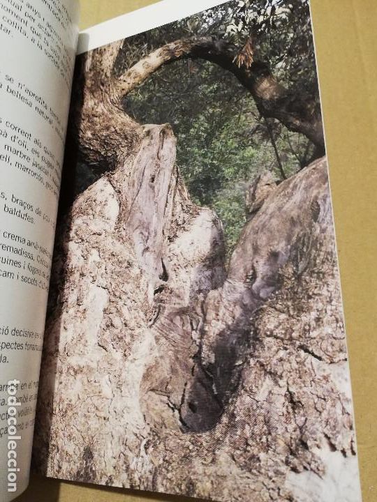 Libros de segunda mano: CUINAR AMB OLI I GERRET - Foto 7