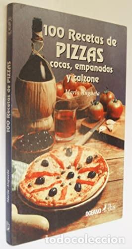 Gebrauchte B&uuml;cher: 100 Recetas de pizzas, cocas, empanadas y calzone. Mar&iacute;a Anguela. &iexcl;&iexcl;COMO NUEVO!!